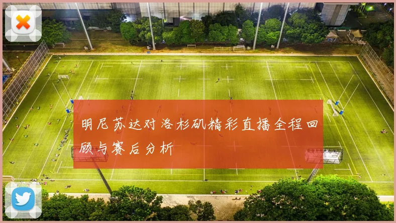 明尼苏达对洛杉矶精彩直播全程回顾与赛后分析