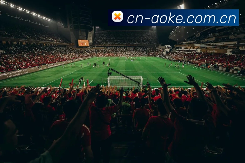 澳客平台生态图